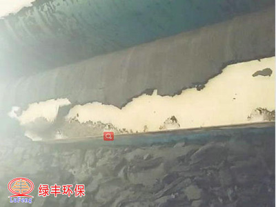 佛山印染廠污泥脫水案例（4帶機）